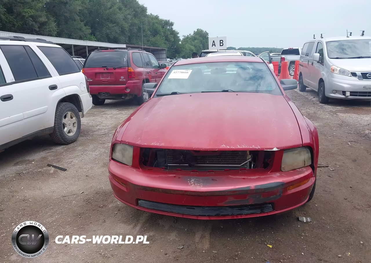 2008 Ford Mustang Gt VIN:1ZVHT82H485150846 - 12