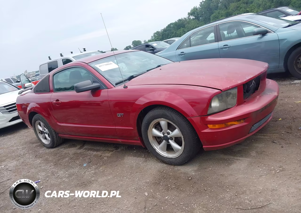 2008 Ford Mustang Gt VIN:1ZVHT82H485150846 - 13