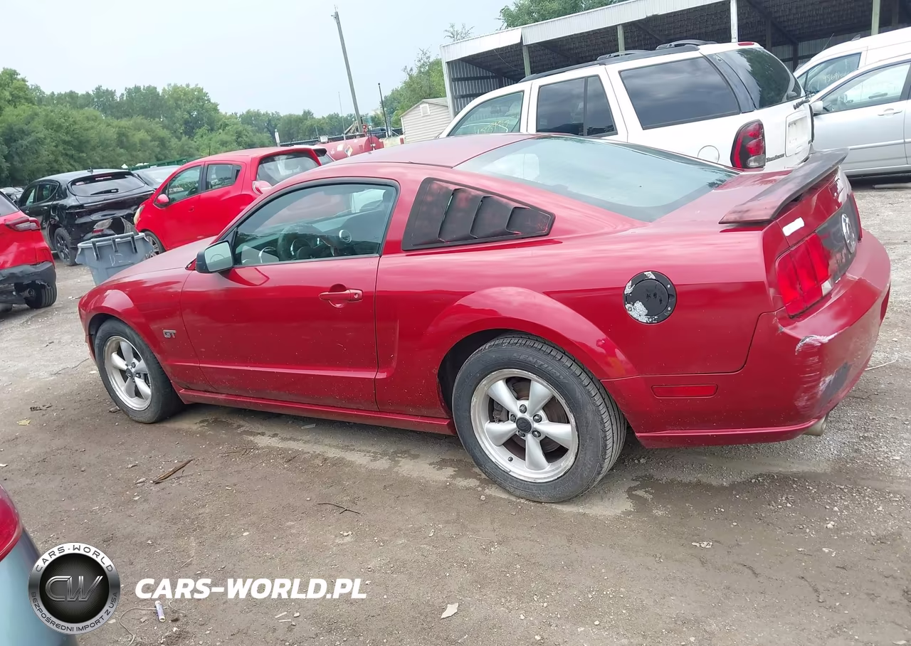 2008 Ford Mustang Gt VIN:1ZVHT82H485150846 - 14
