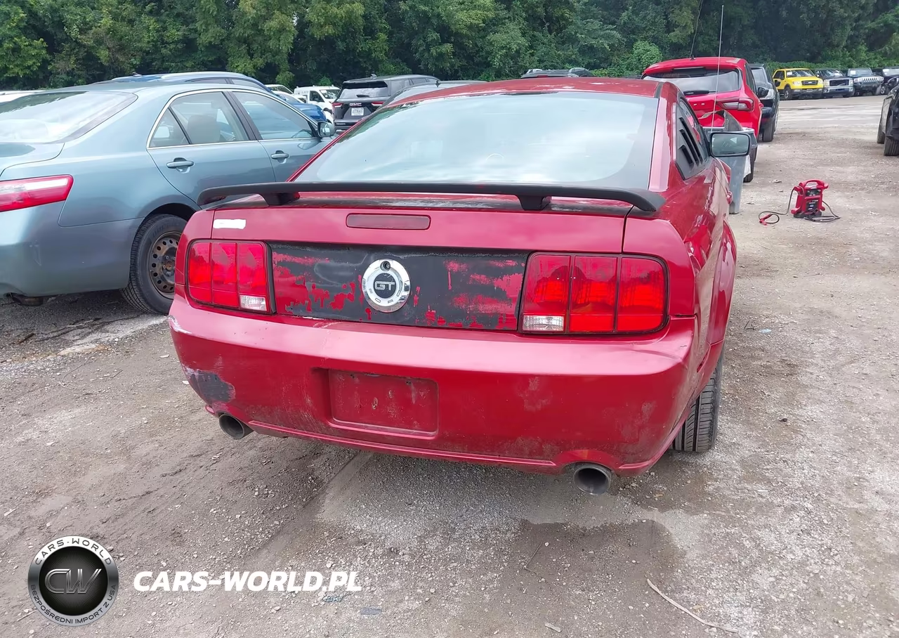 2008 Ford Mustang Gt VIN:1ZVHT82H485150846 - 16