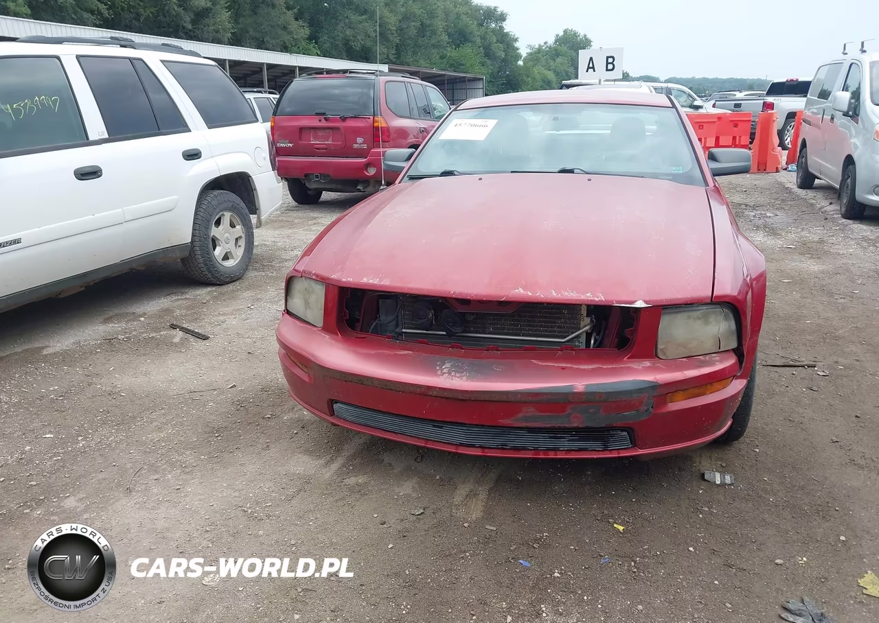 2008 Ford Mustang Gt VIN:1ZVHT82H485150846 - 6