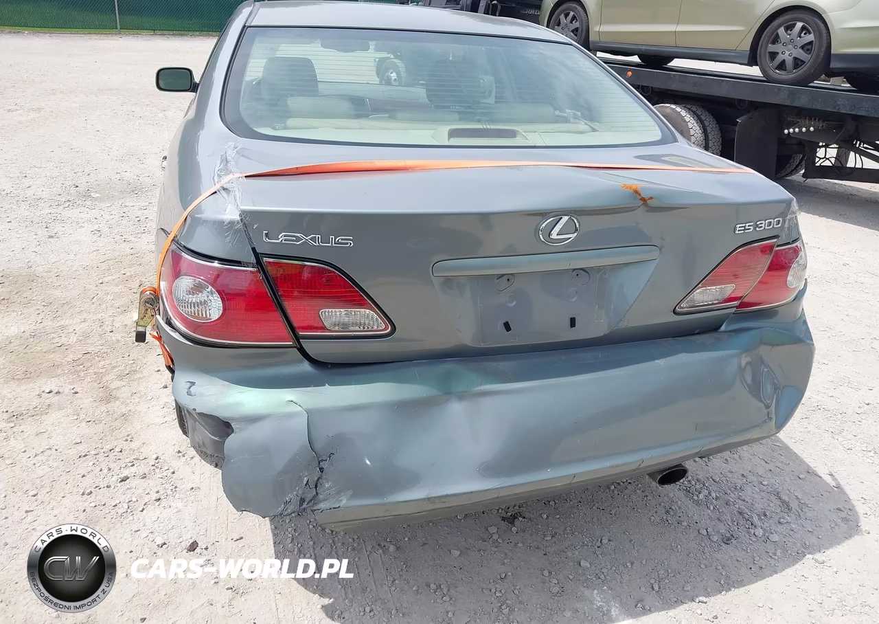 2002 LEXUS ES 300 VIN:JTHBF30G720040180 - 6