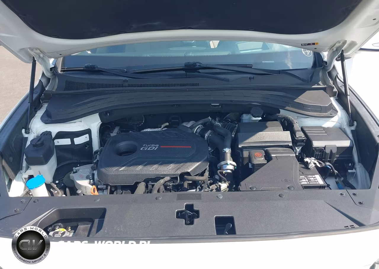2019 Hyundai Santa Fe Ultimate 2.0T VIN:5NMS53AA7KH065367 - 10