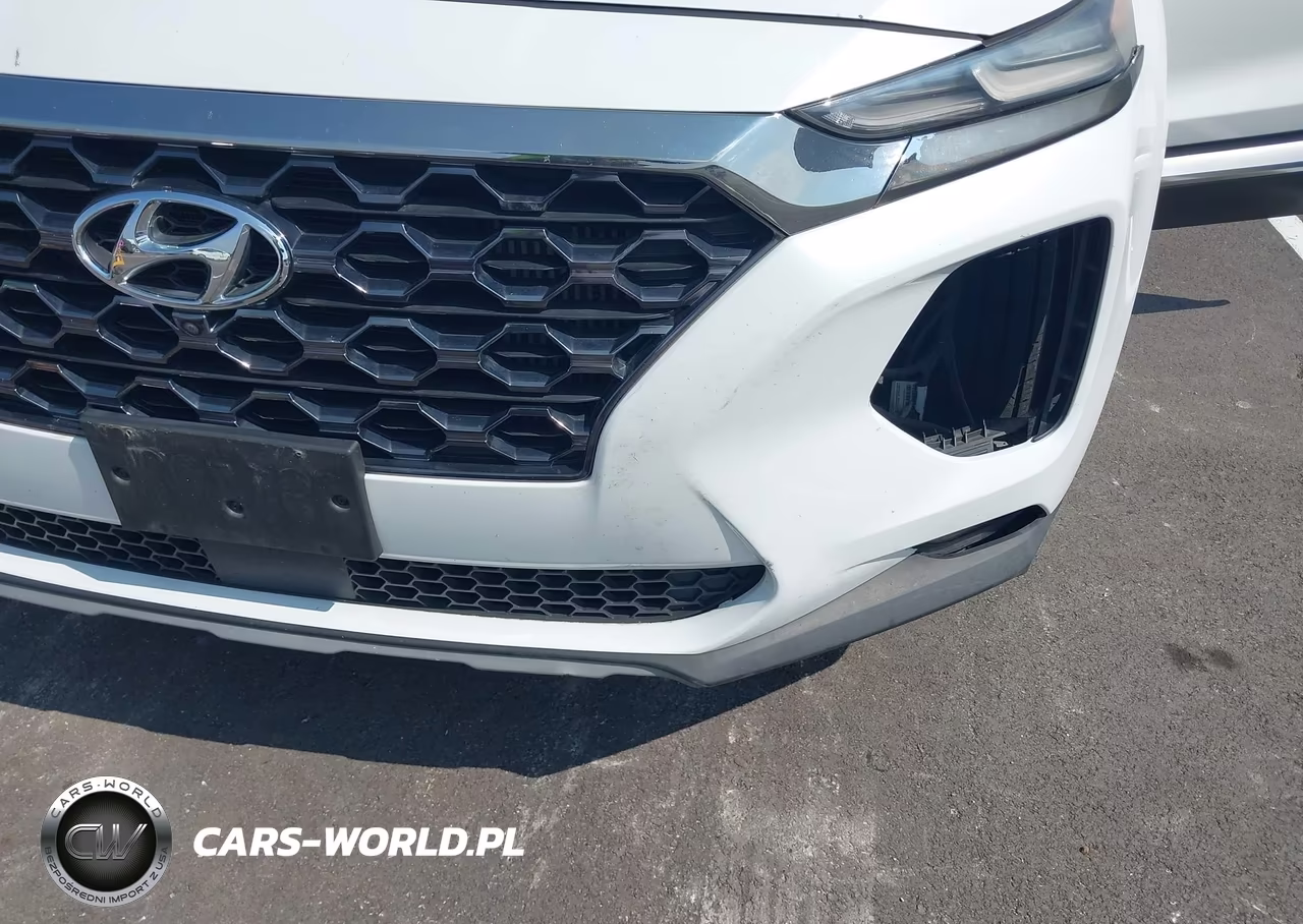 2019 Hyundai Santa Fe Ultimate 2.0T VIN:5NMS53AA7KH065367 - 18