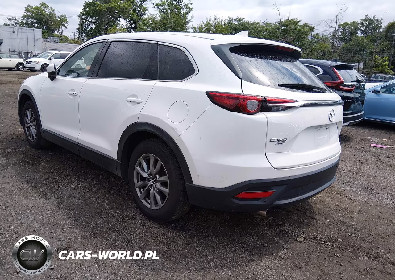 2018 Mazda Cx-9 Touring VIN:JM3TCBCY8J0228306 - 3