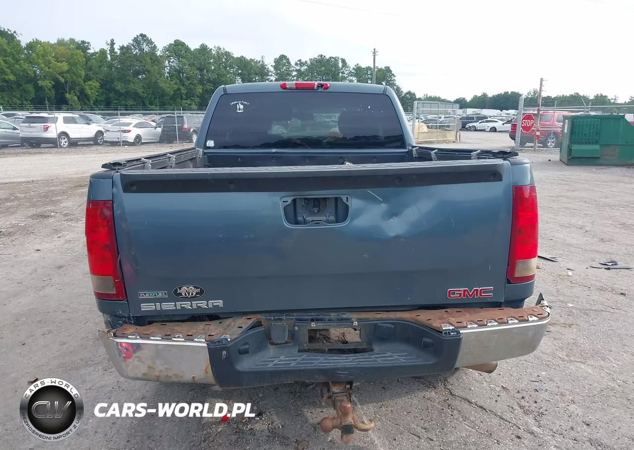 2010 GMC Sierra 1500 Sl VIN:1GTSCUEA9AZ188331 - 17