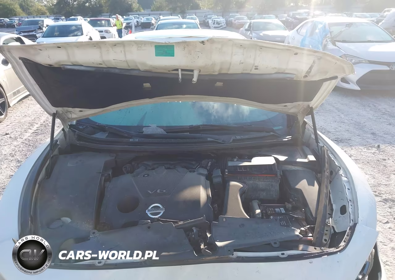 2013 Nissan Maxima 3.5 Sv VIN:1N4AA5AP6DC810690 - 10