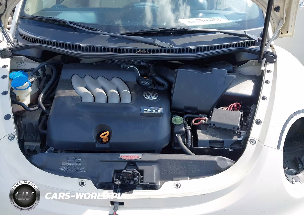 2005 Volkswagen New Beetle Gl VIN:3VWBM31Y15M305219 - 10