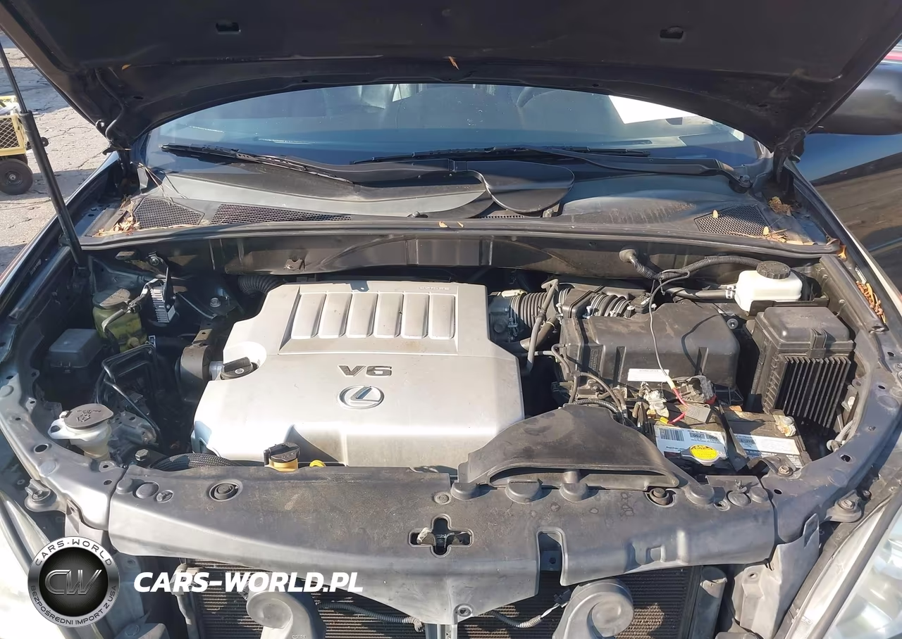2009 Lexus Rx 350 VIN:2T2GK31U19C080063 - 10