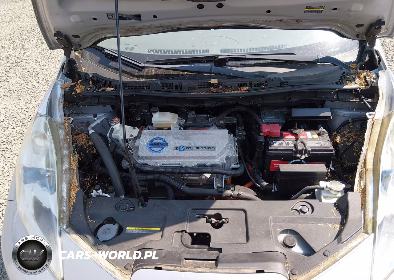 2011 Nissan Leaf Sl VIN:JN1AZ0CP7BT001105 - 10