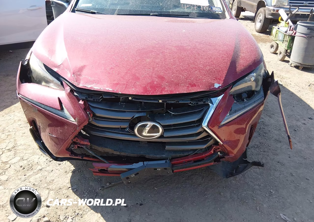 2015 Lexus Nx 200T VIN:JTJYARBZ1F2006125 - 6