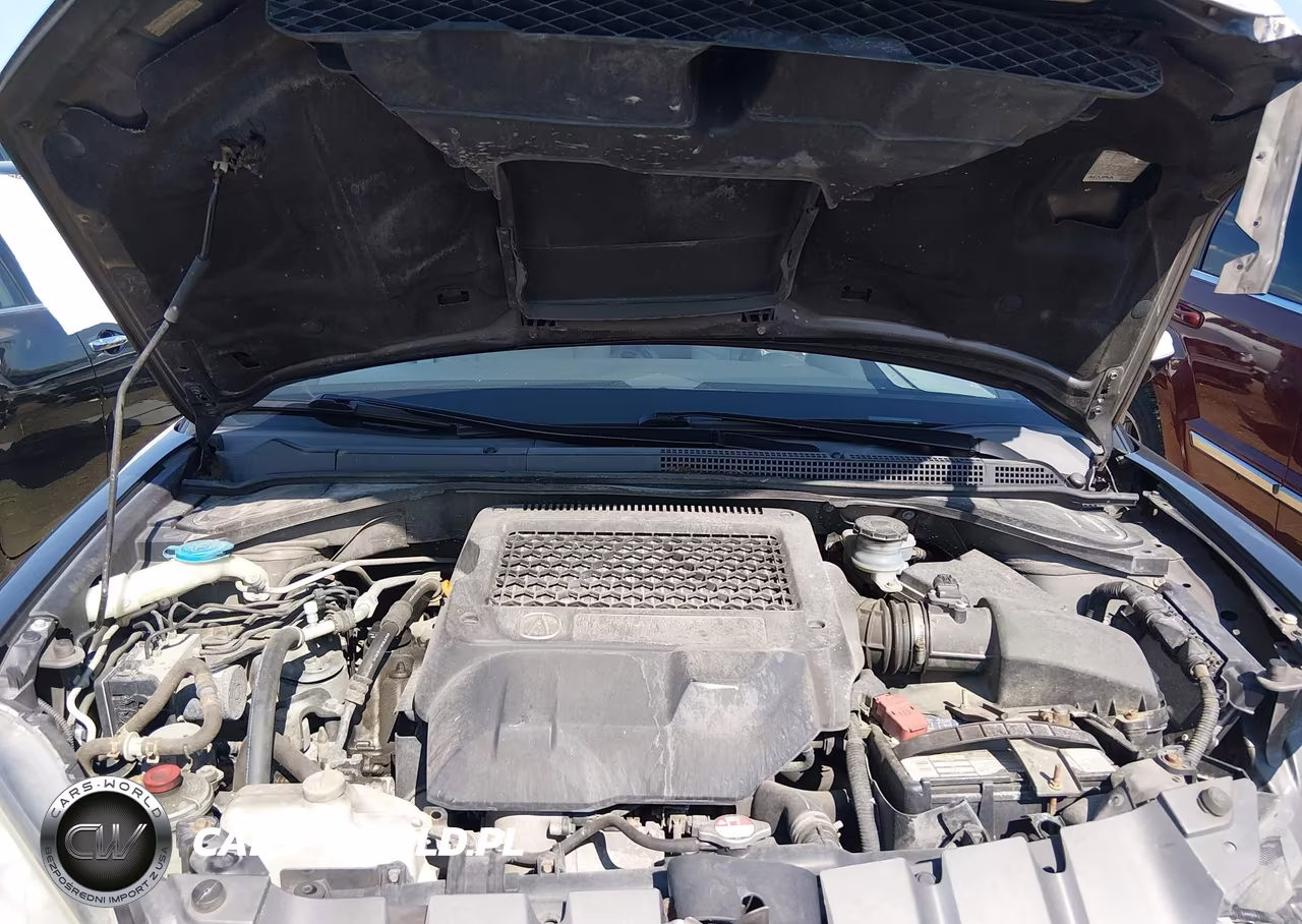 2009 Acura Rdx VIN:5J8TB18289A005832 - 10