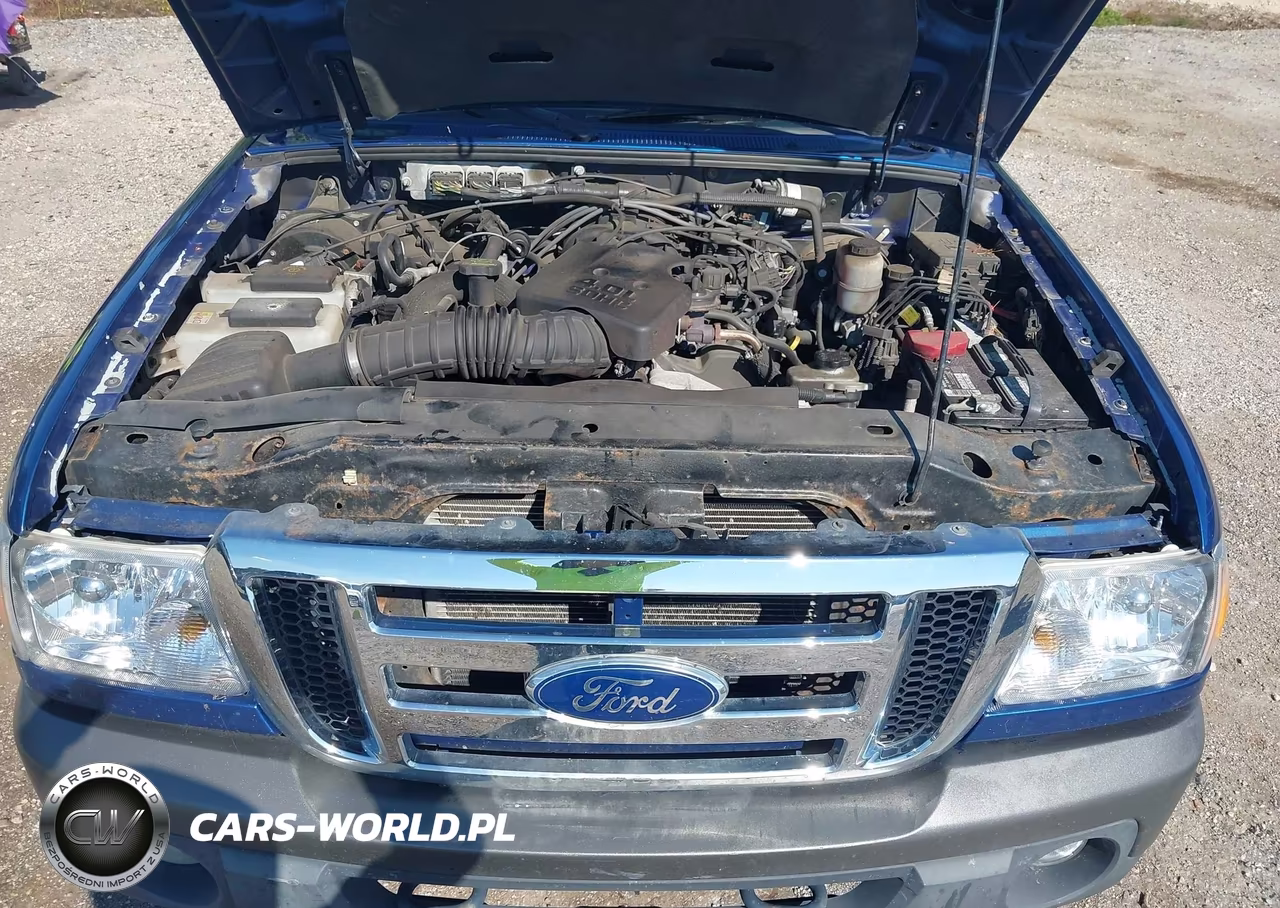 2011 Ford Ranger Xlt VIN:1FTLR4FE9BPB09242 - 10