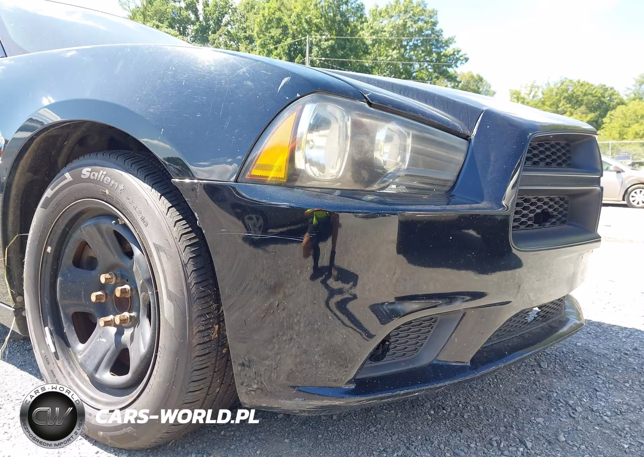 2014 Dodge Charger Police VIN:2C3CDXAT6EH362506 - 12