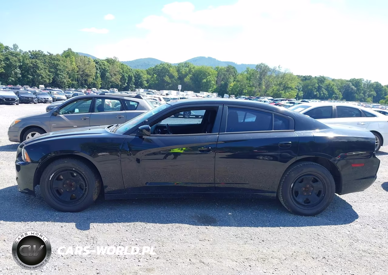 2014 Dodge Charger Police VIN:2C3CDXAT6EH362506 - 15