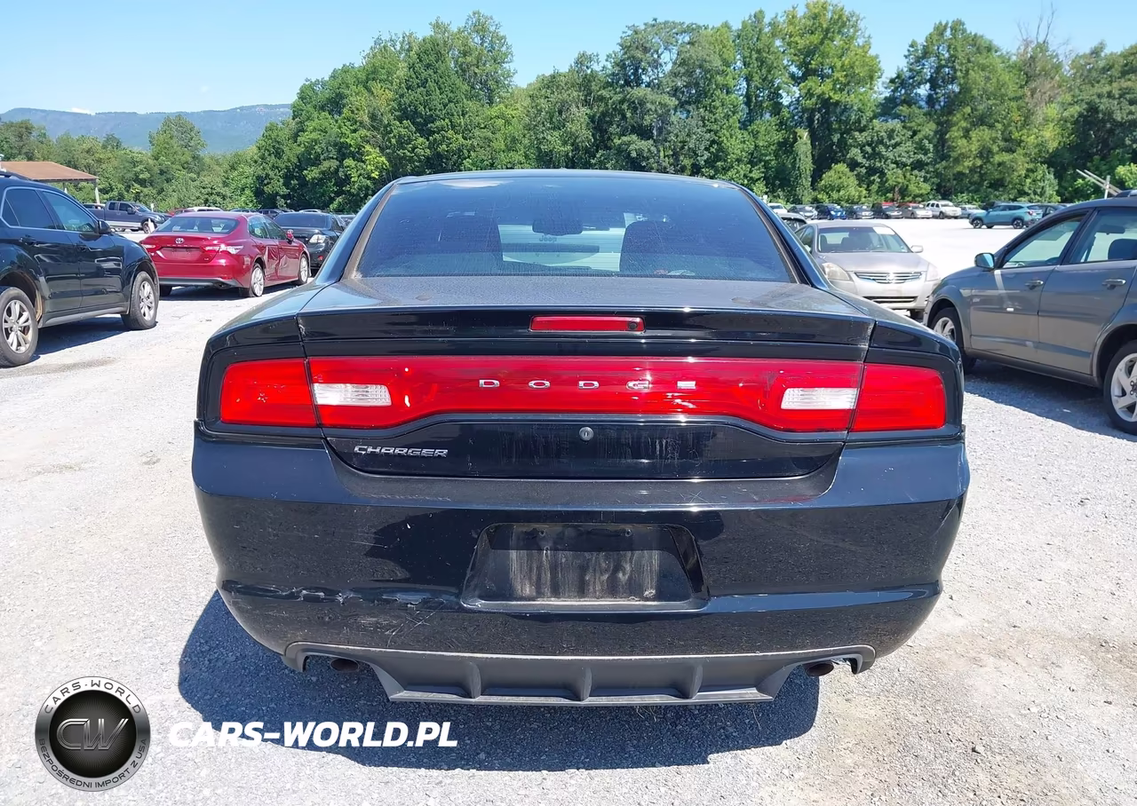 2014 Dodge Charger Police VIN:2C3CDXAT6EH362506 - 17