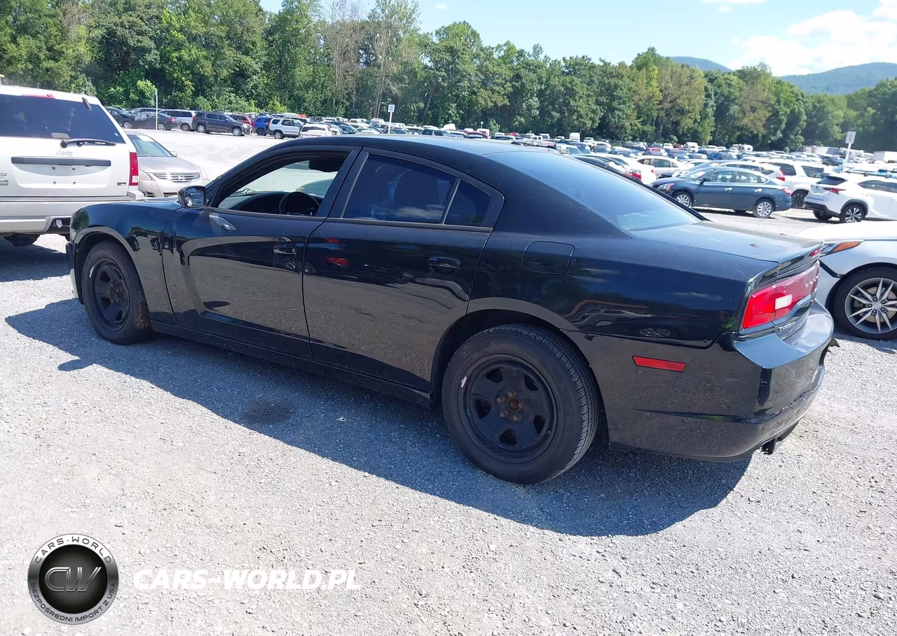 2014 Dodge Charger Police VIN:2C3CDXAT6EH362506 - 3
