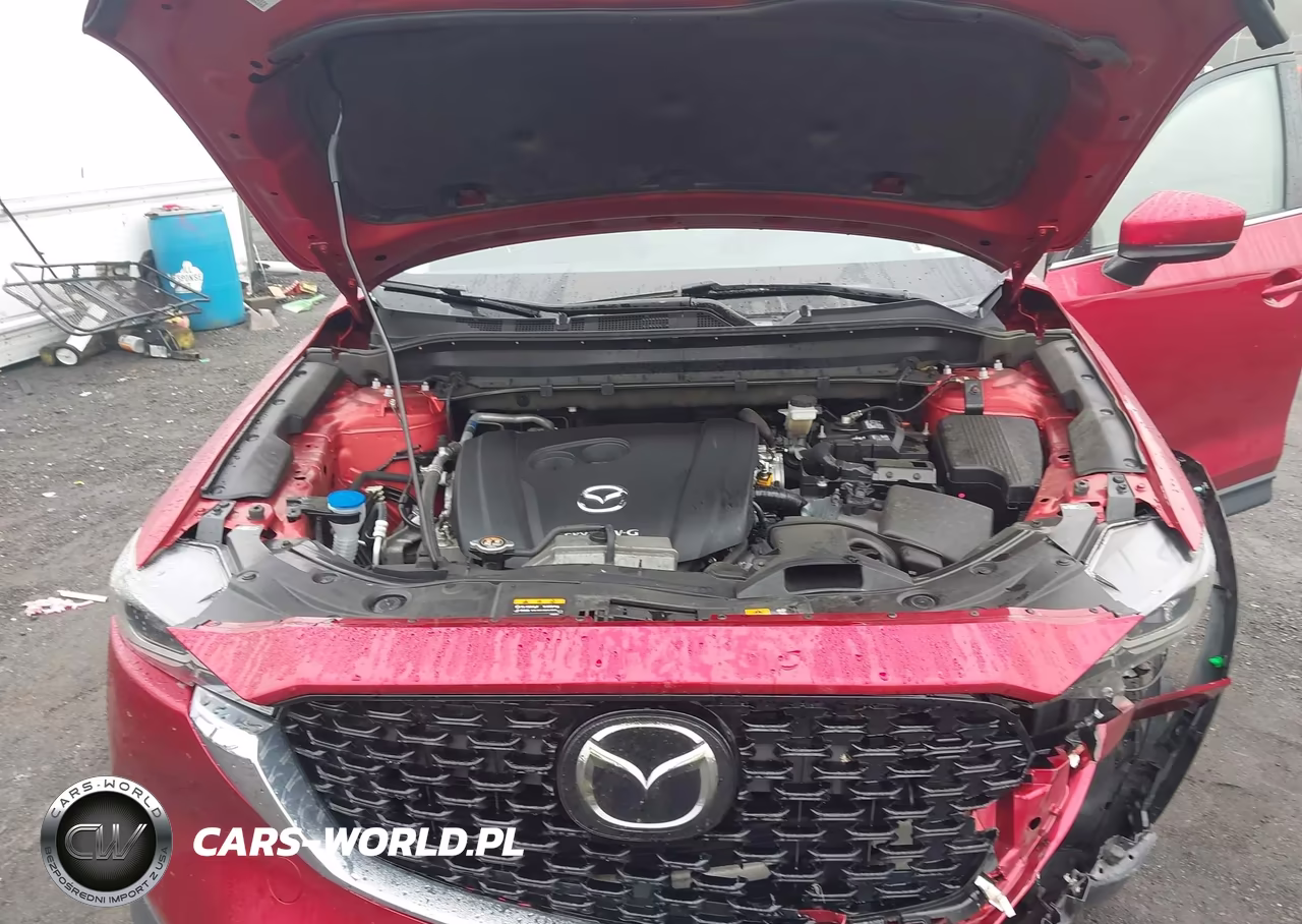2022 Mazda Cx-5 2.5 S Preferred VIN:JM3KFBCM8N0553303 - 10