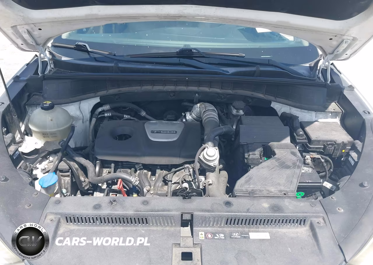 2017 Hyundai Tucson Limited VIN:KM8J33A23HU283314 - 10