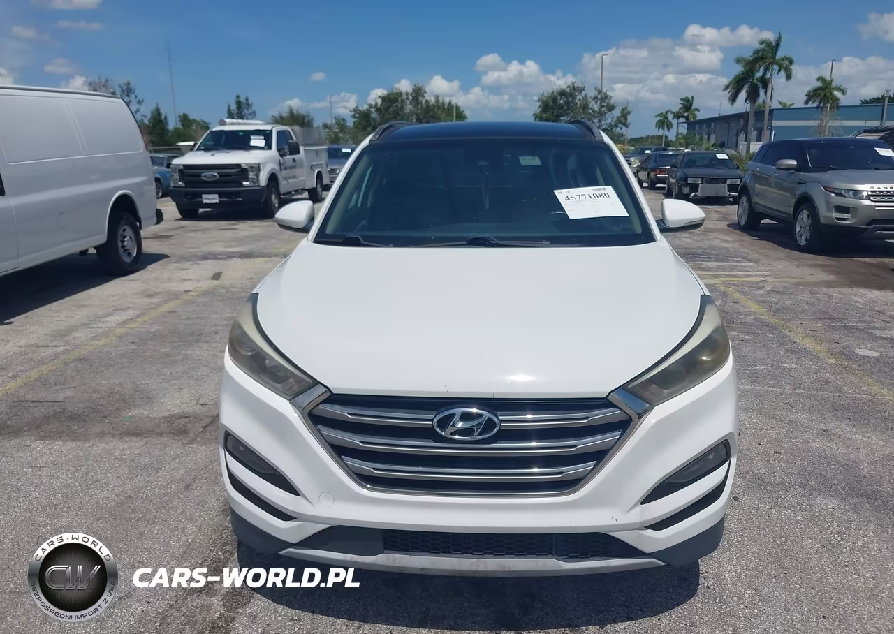 2017 Hyundai Tucson Limited VIN:KM8J33A23HU283314 - 12