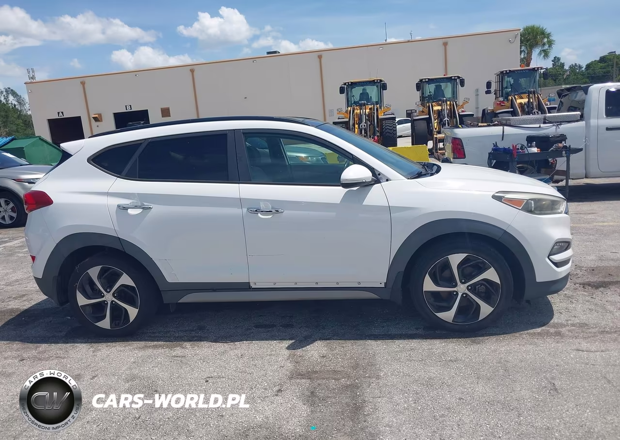 2017 Hyundai Tucson Limited VIN:KM8J33A23HU283314 - 13