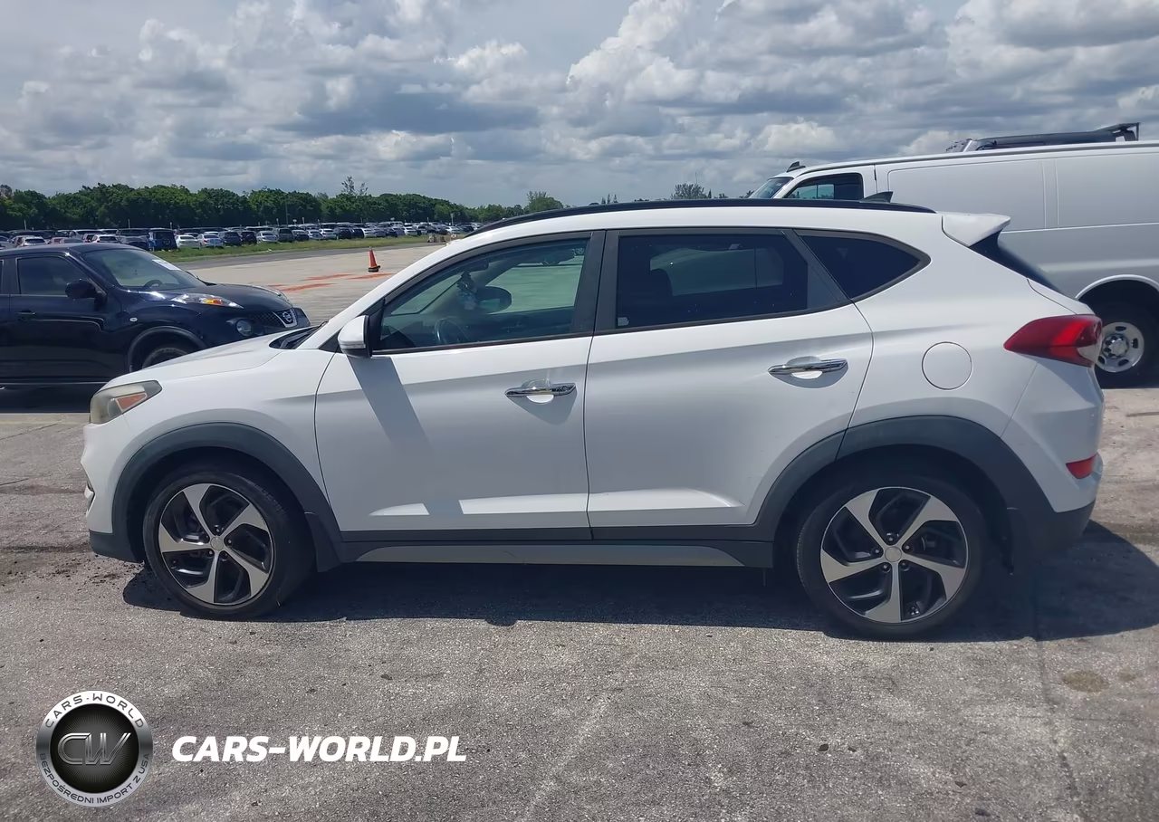 2017 Hyundai Tucson Limited VIN:KM8J33A23HU283314 - 14