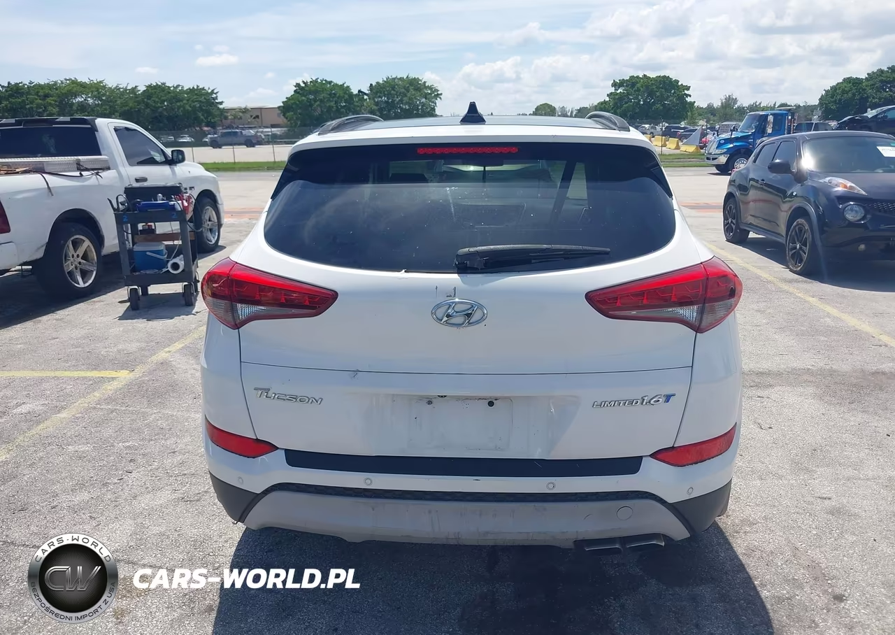 2017 Hyundai Tucson Limited VIN:KM8J33A23HU283314 - 16