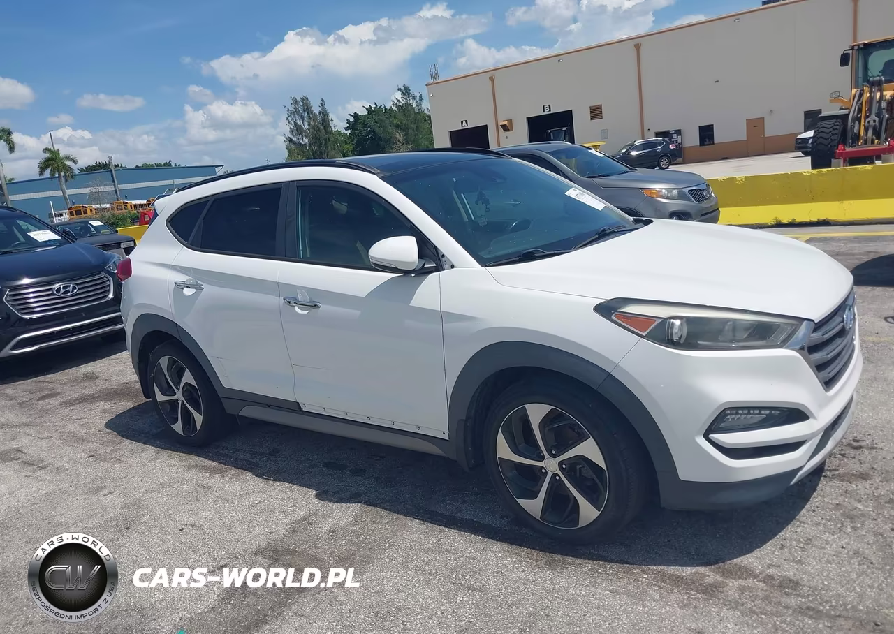 2017 Hyundai Tucson Limited VIN:KM8J33A23HU283314 - 17