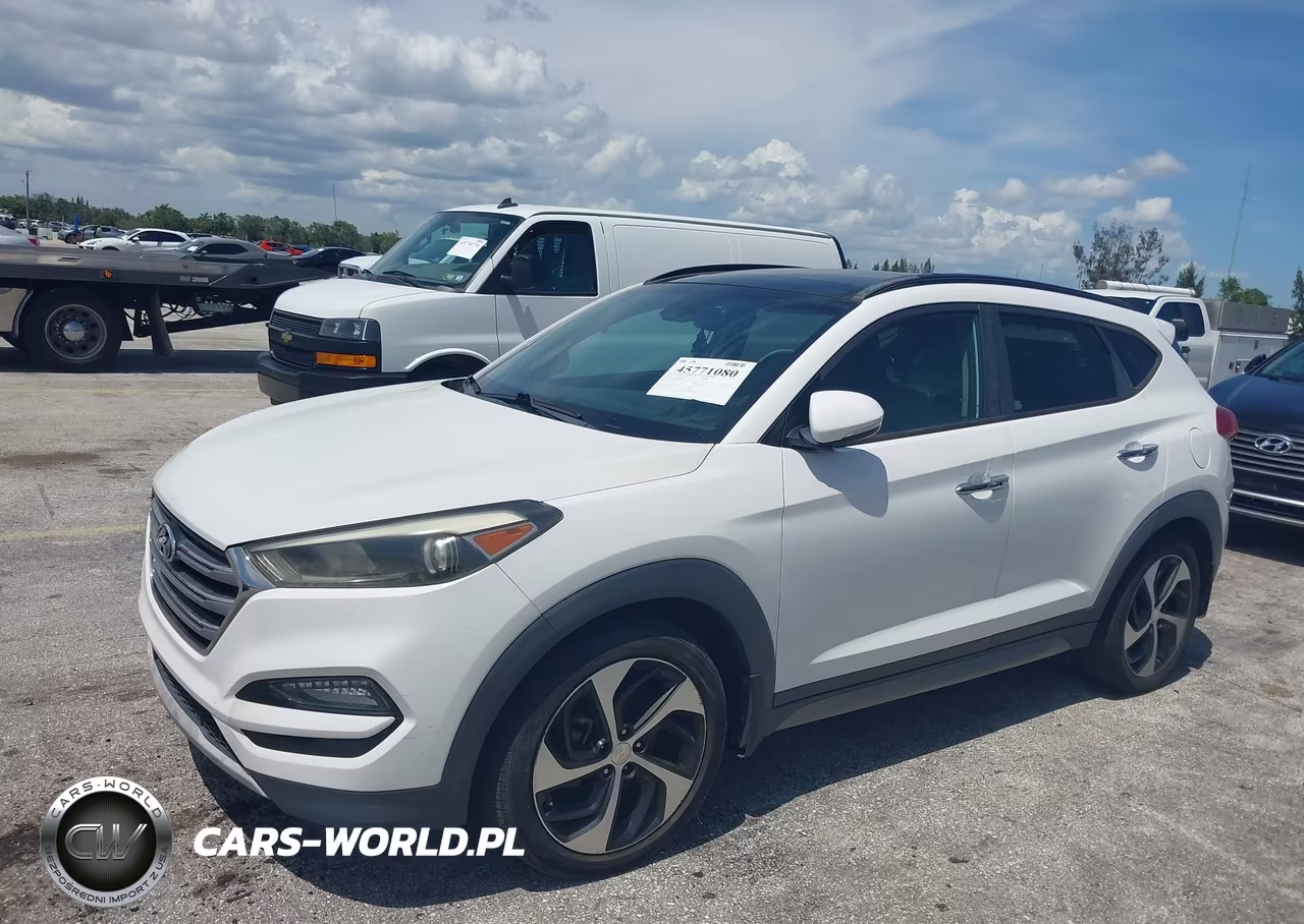 2017 Hyundai Tucson Limited VIN:KM8J33A23HU283314 - 18