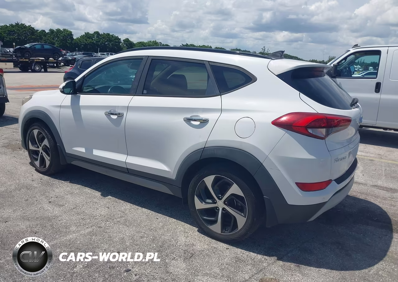 2017 Hyundai Tucson Limited VIN:KM8J33A23HU283314 - 3