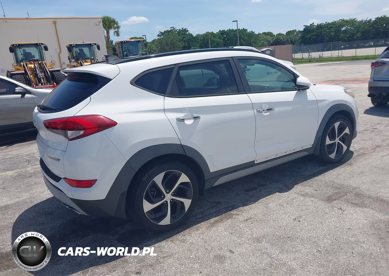 2017 Hyundai Tucson Limited VIN:KM8J33A23HU283314 - 4