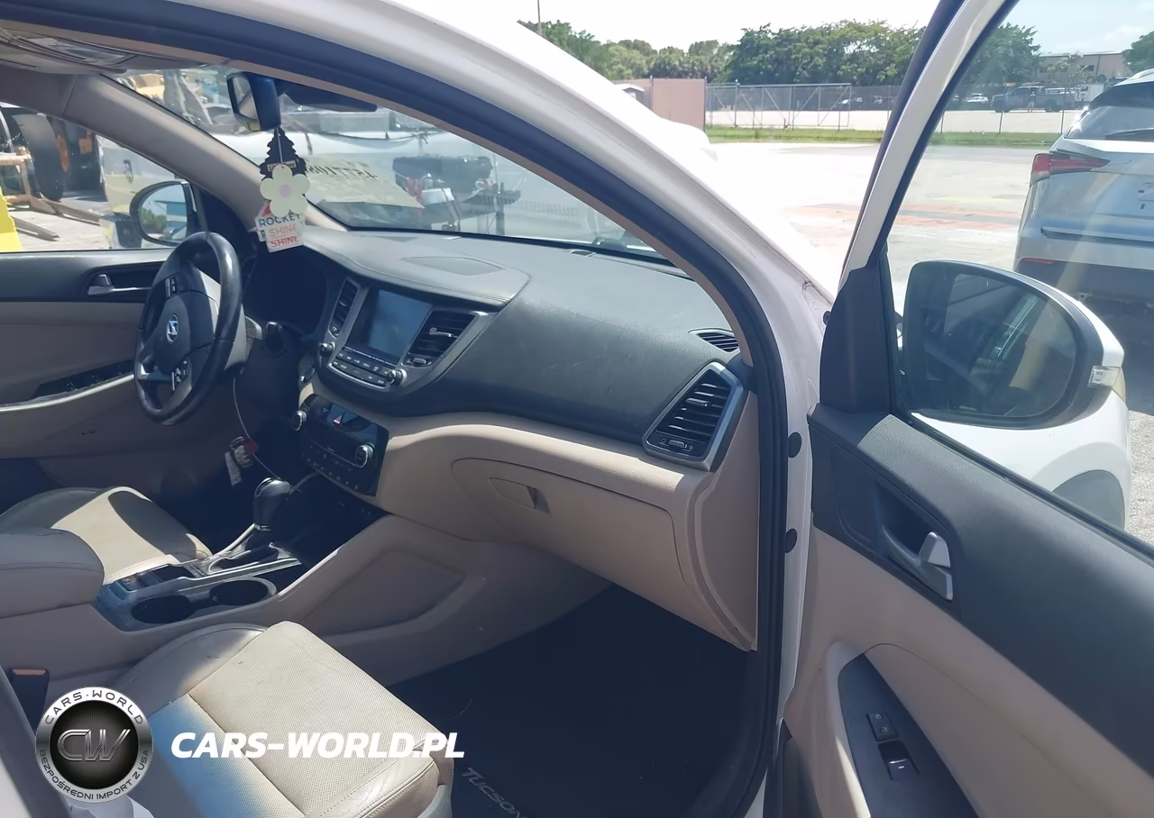 2017 Hyundai Tucson Limited VIN:KM8J33A23HU283314 - 5