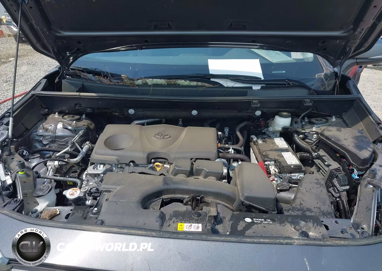 2025 Toyota Rav4 Xle Premium VIN:2T3C1RFV9SC336635 - 10