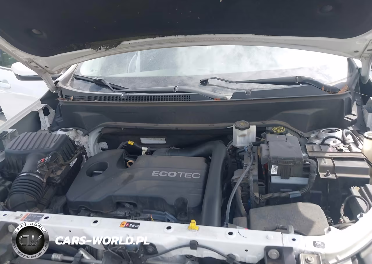 2019 Chevrolet Equinox Lt VIN:2GNAXJEV3K6235097 - 10