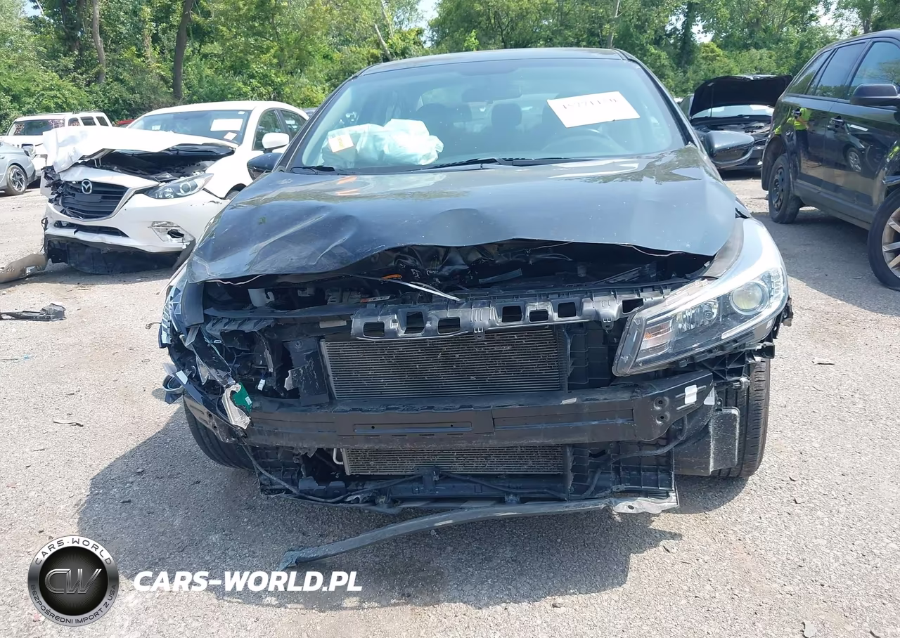2017 Kia Forte S VIN:3KPFL4A75HE144909 - 12