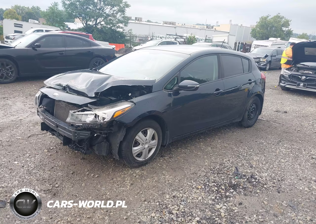 2017 Kia Forte Lx VIN:KNAFK5A83H5725514 - 2