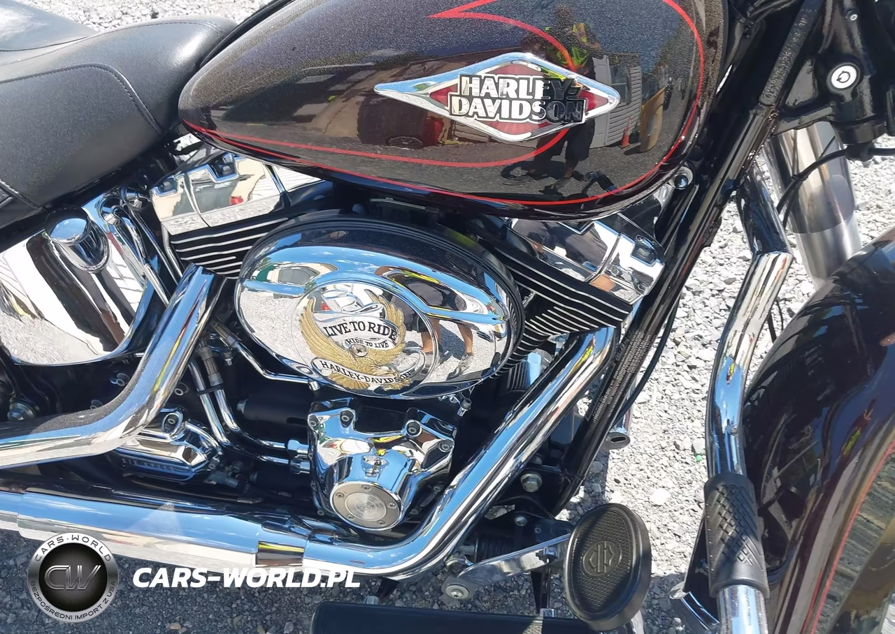 2011 Harley-Davidson Flstc VIN:1HD1BW515BB028661 - 8