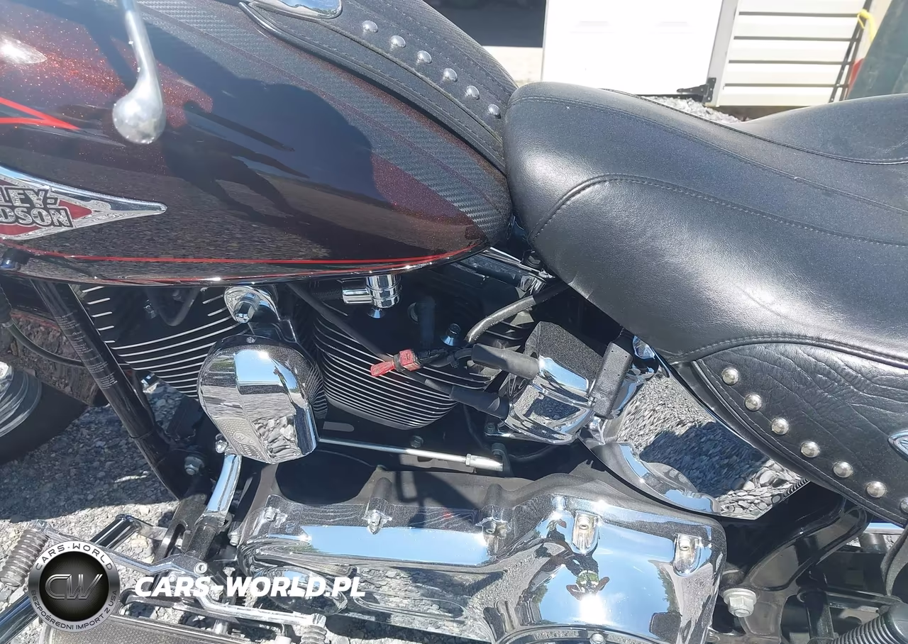 2011 Harley-Davidson Flstc VIN:1HD1BW515BB028661 - 9