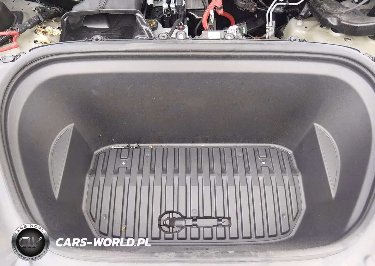 2023 Tesla Model Y VIN:7SAYGDEE9PF855580 - 10