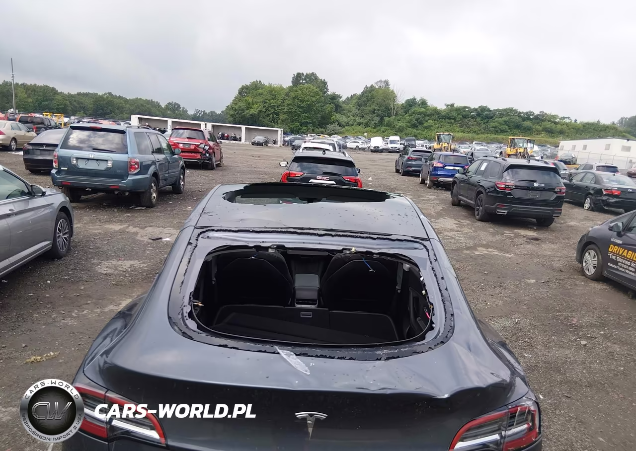 2023 Tesla Model Y VIN:7SAYGDEE9PF855580 - 21