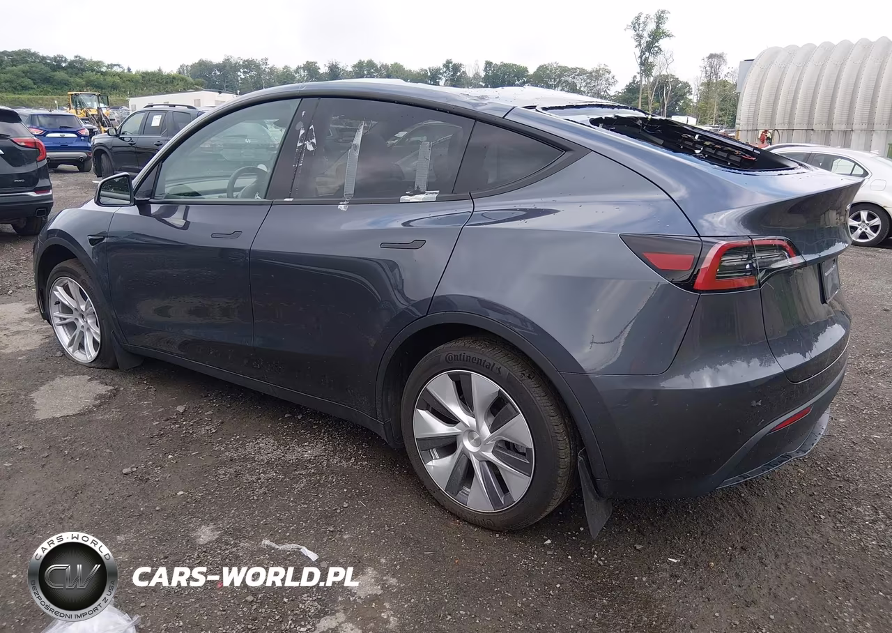 2023 Tesla Model Y VIN:7SAYGDEE9PF855580 - 3