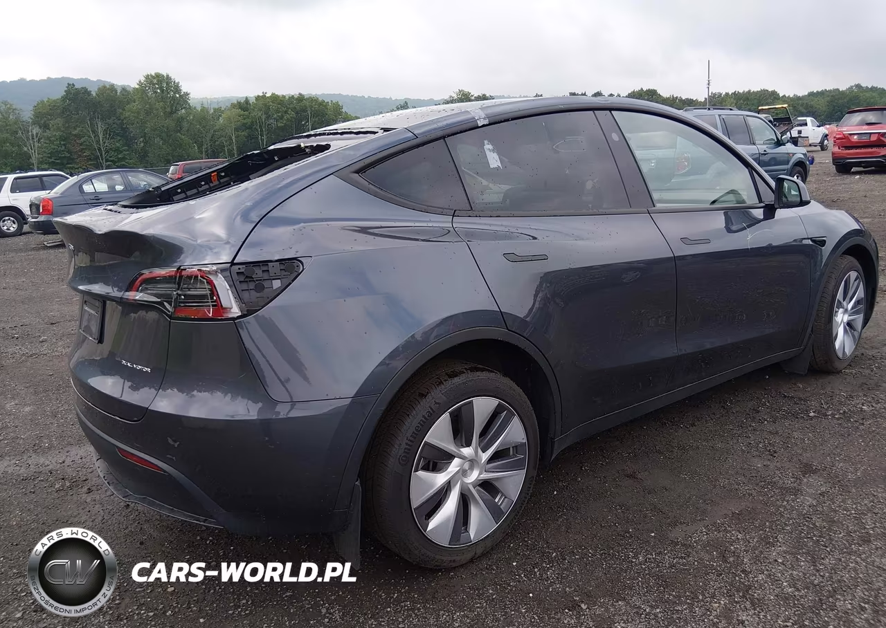 2023 Tesla Model Y VIN:7SAYGDEE9PF855580 - 4