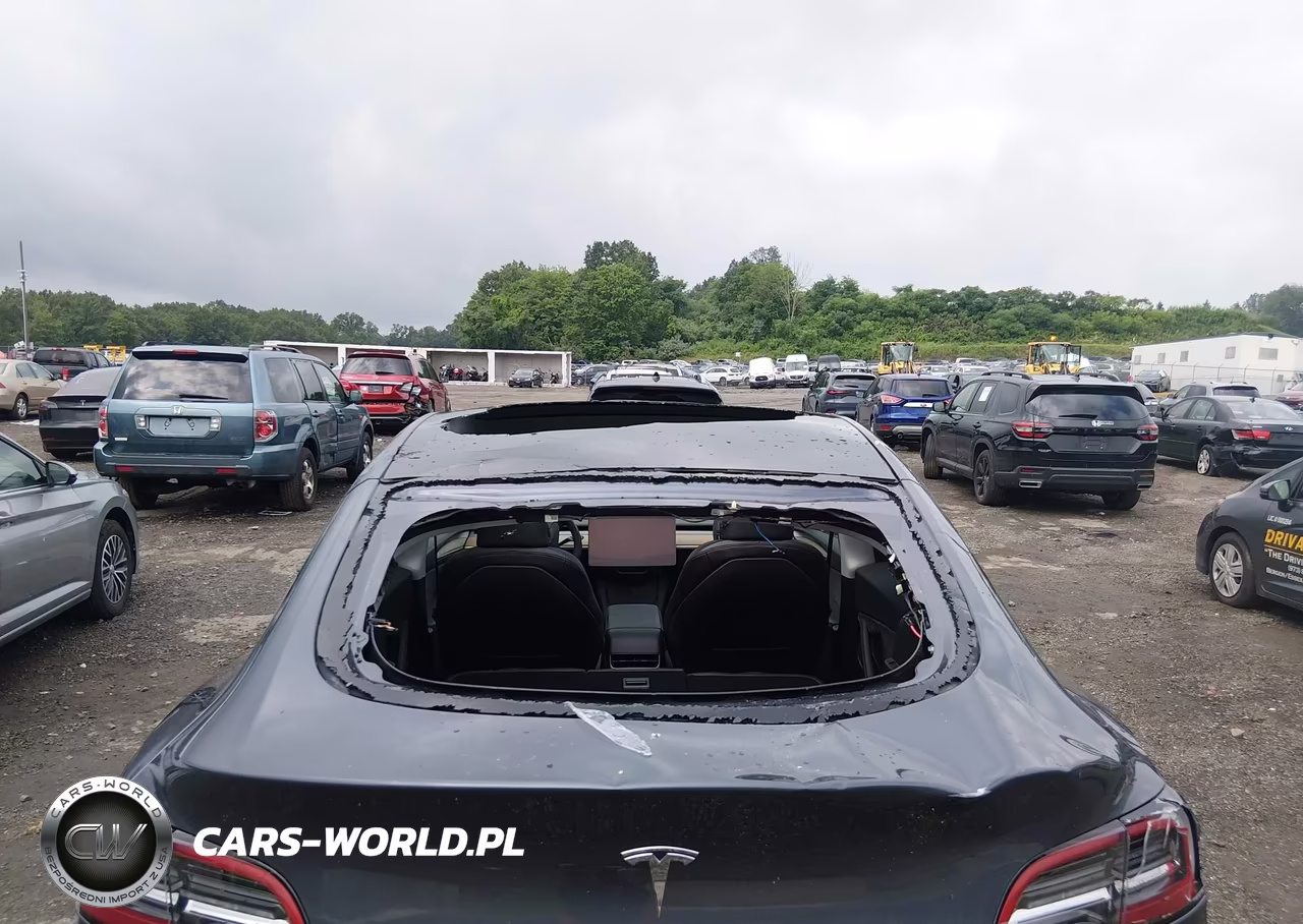 2023 Tesla Model Y VIN:7SAYGDEE9PF855580 - 6