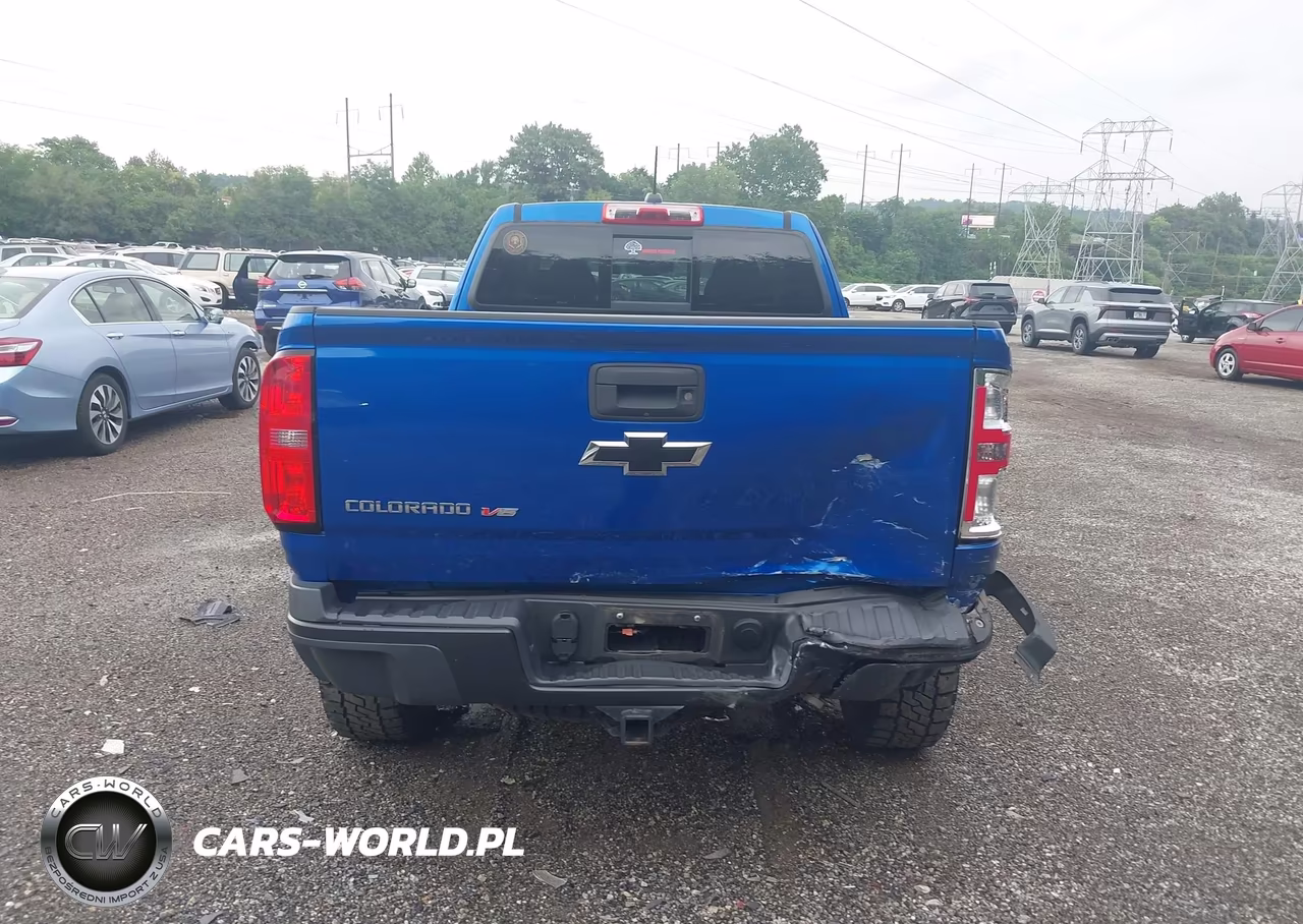 2019 Chevrolet Colorado Zr2 VIN:1GCRTEEN6K1169999 - 16