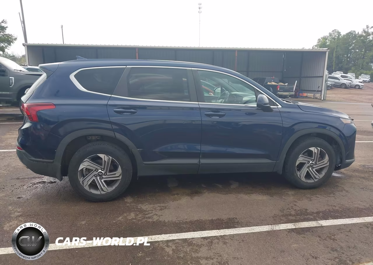 2021 Hyundai Santa Fe Se VIN:5NMS14AJ2MH346223 - 13