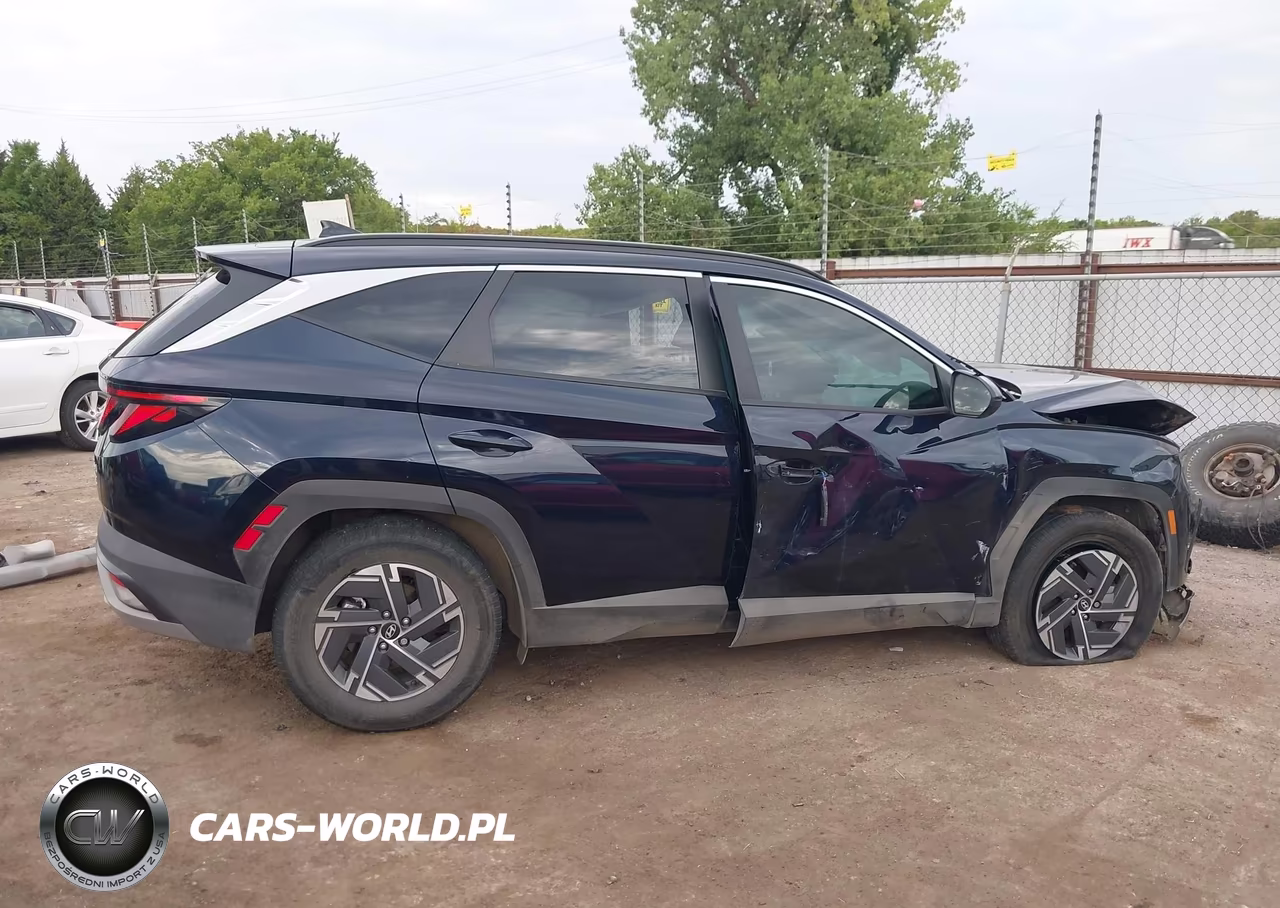 2025 Hyundai Tucson Hybrid Blue VIN:KM8JBDD18SU290777 - 14