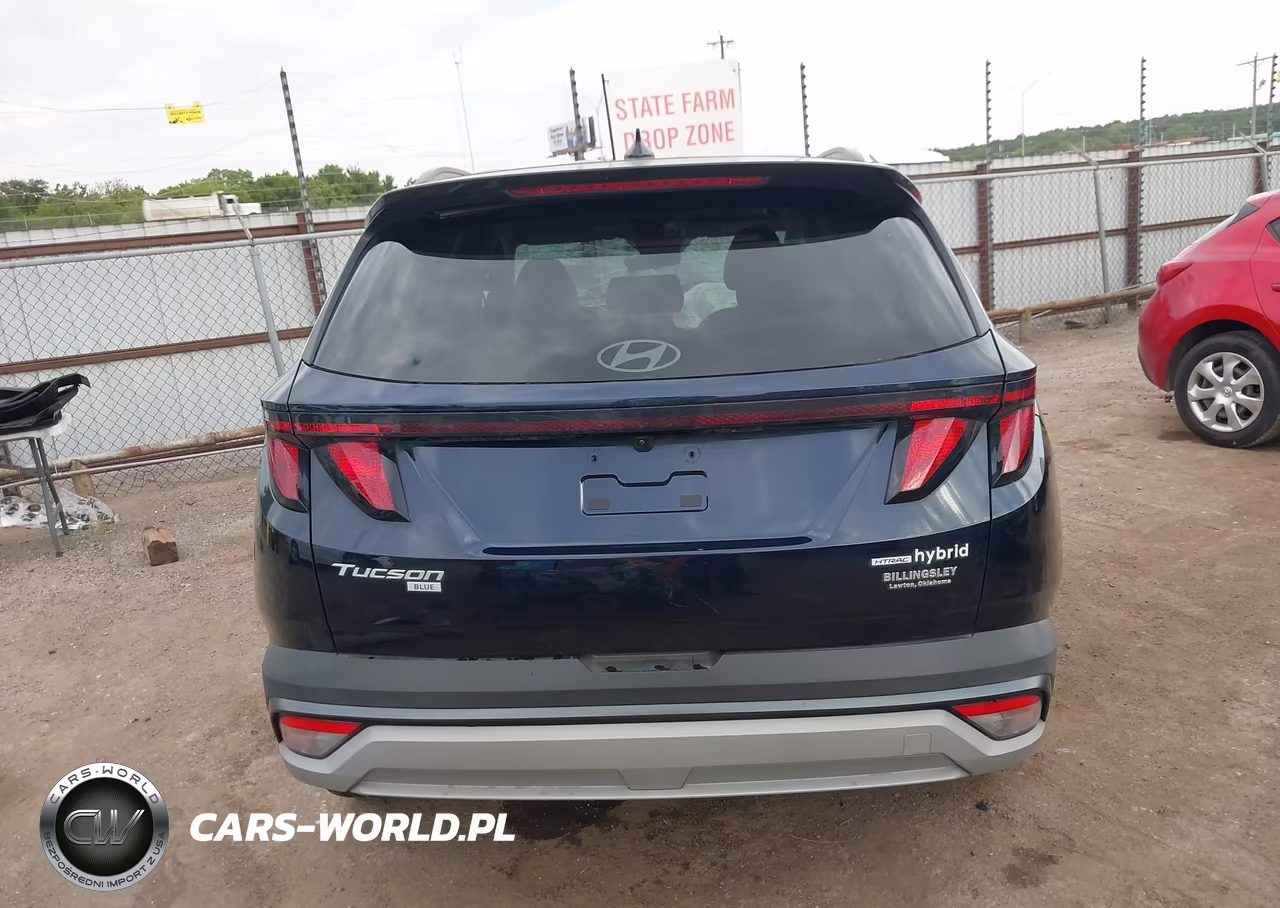2025 Hyundai Tucson Hybrid Blue VIN:KM8JBDD18SU290777 - 17