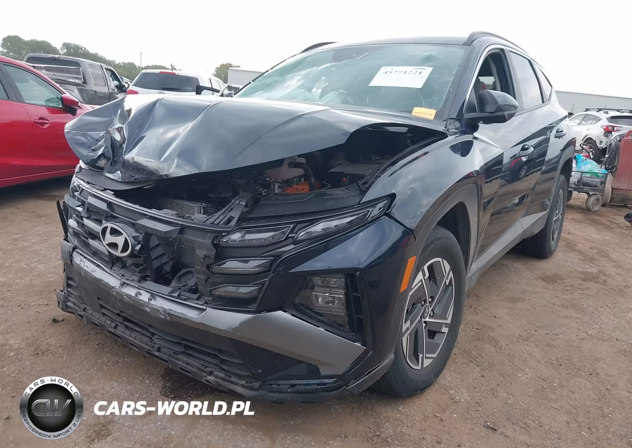 2025 Hyundai Tucson Hybrid Blue VIN:KM8JBDD18SU290777 - 2