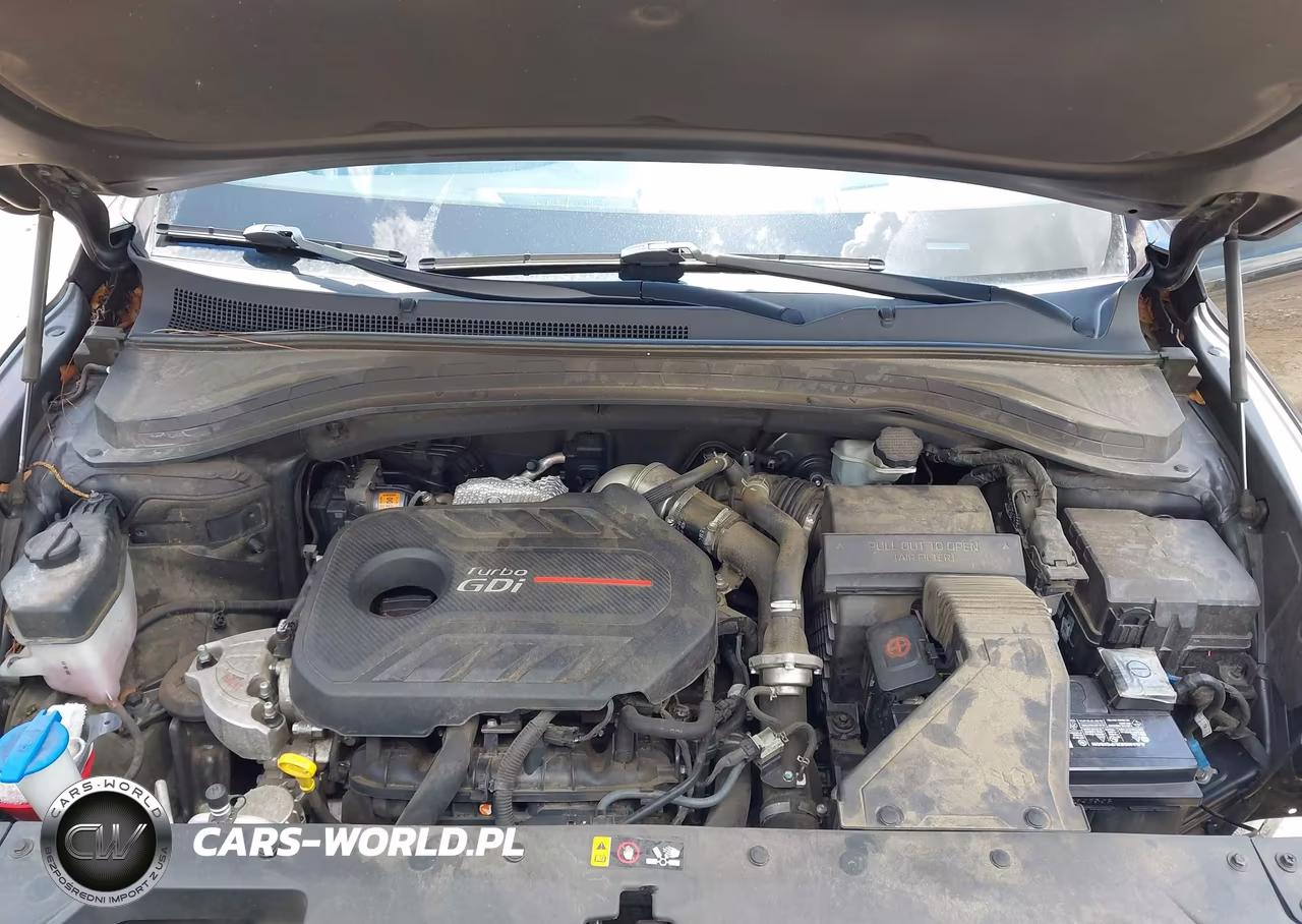 2020 Hyundai Santa Fe Limited 2.0T VIN:5NMS53AA7LH302165 - 10
