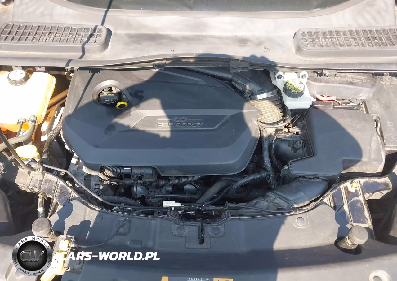 2013 Ford Escape Se VIN:1FMCU9GX0DUD39988 - 10